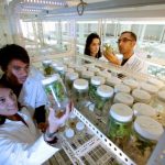 Academia Chilena de Ciencias abre postulaciones a “Premio Tesis de Doctorado 2019″