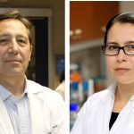 Miembros de la Academia Chilena de Ciencias lideran ranking internacional en inmunología