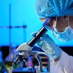 La Academia Chilena de Ciencias, presenta un análisis del presupuesto de Ciencia, Tecnología, Conocimiento e Innovación 2027